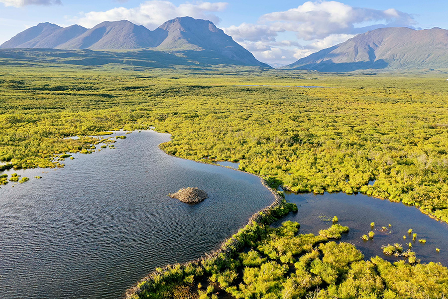 Foto de una tundra verde y llana, con montañas al fondo y un gran estanque en primer plano. Un pequeño montículo sobresale del estanque.