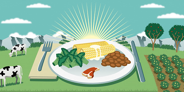 Conceptual illustration shows sunrise on an agricultural landscape with crops and grazing cattle. In the center of the image is a dinner plate with large servings of greens, corn, beans and a small serving of meat.