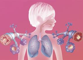 Cómo destapar las vías respiratorias asmáticas