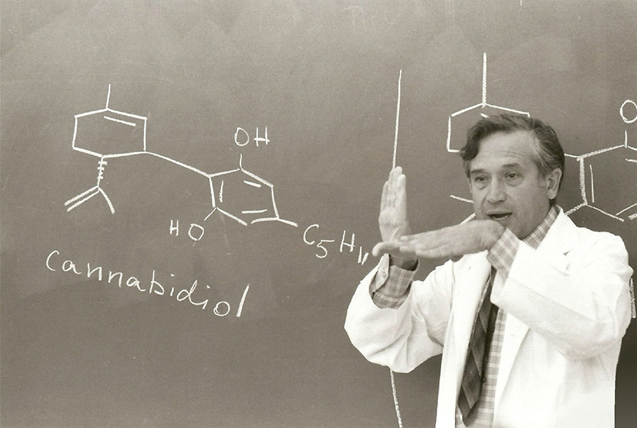 Foto histórica de Raphael Mechoulam hablando con una bata blanca de laboratorio delante de una pizarra con la estructura química del cannabidiol.