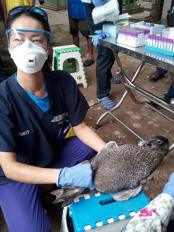 A woman wearing mask, gloves and goggles holds a duck. Racks of test tubes are seen on a table to one side.