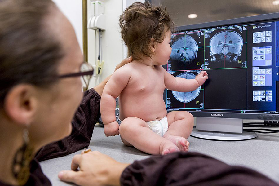 Un bebé que solo lleva puesto un pañal sentado en un escritorio observa las imágenes por resonancia magnética del cerebro de un bebé que se muestran en un ordenador mientras una mujer sostiene la espalda del bebé.