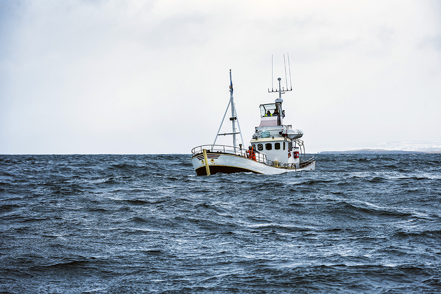 Controlar la pesca, cuidar los mares • Ecologistas en Acción
