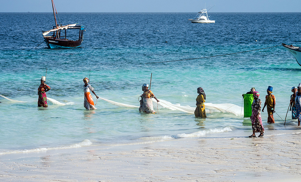 Fotografía de un grupo de mujeres arrastrando redes por las aguas poco profundas de una playa.