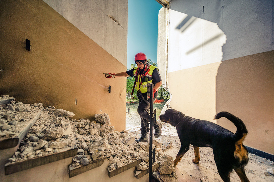 Un perro de rescate y su adiestrador al pie de una escalera en un edificio siniestrado.