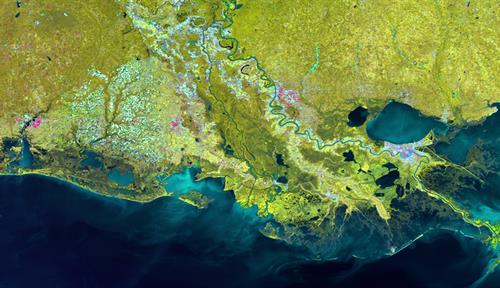 Imagen de satélite del delta del río Misisipi. Se puede ver el río serpenteando hasta el Golfo de México. Las aguas del golfo están coloreadas en tonos azul oscuro y azul claro. La tierra alrededor del delta es de muchos tonos de amarillo, mostaza, marrón, azul y rosa.
