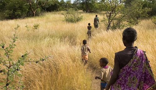 Mujeres y niños cazadores-recolectores caminan por una sabana africana cubierta de hierba.