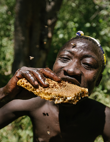 Un cazador-recolector africano comiendo un panal, rodeado de abejas.