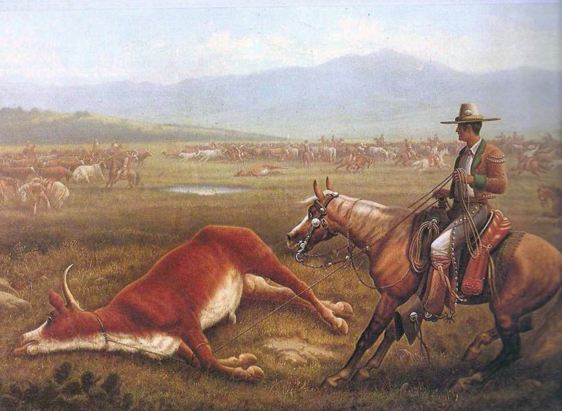 Una vaca atada yace en el suelo, con un hombre a caballo cerca. Al fondo se ven muchas otras reses.