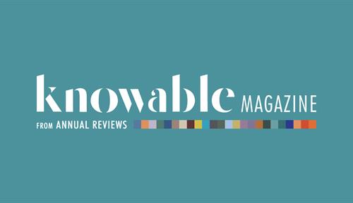 Knowable Newsletter banner