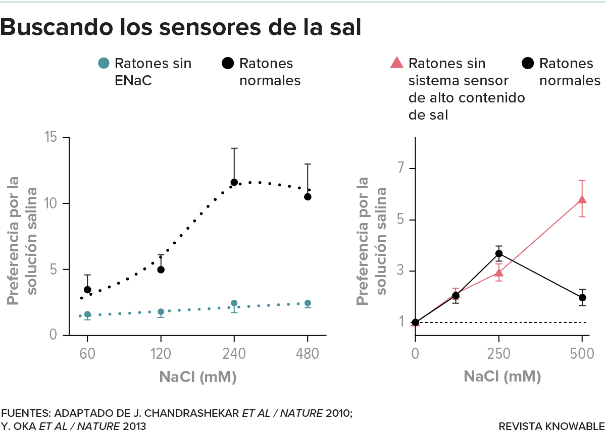 Gráficos que comparan ratones normales con animales a los que les faltan los sistemas que detectan niveles bajos o altos de sal.