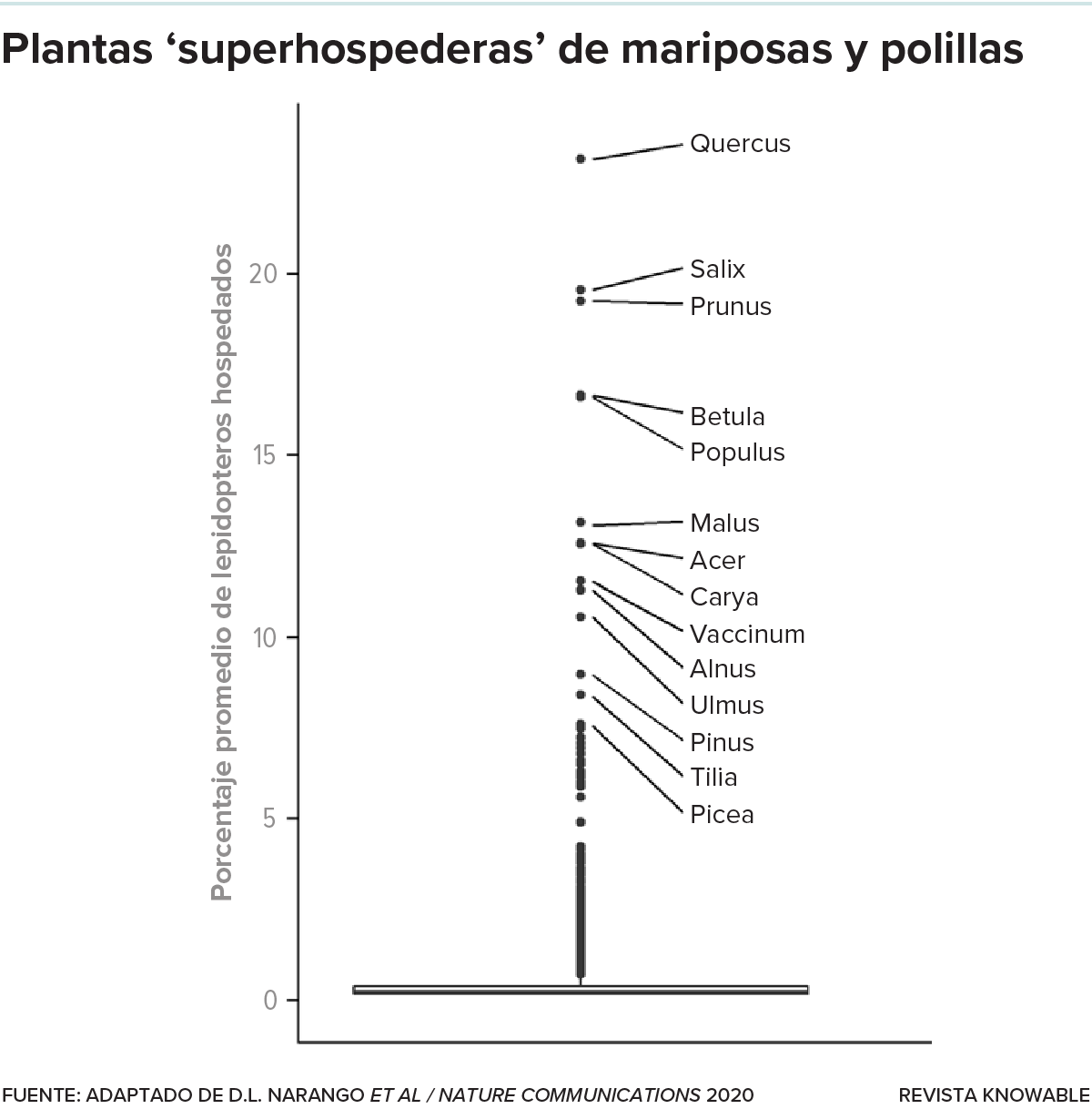 Gráfico que muestra la importancia relativa de distintos géneros de plantas en EE.UU. para los insectos del orden Lepidoptera, que incluye mariposas y polillas. Los robles destacan como superestrellas.