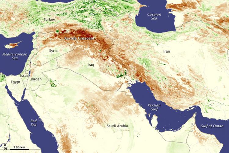 A satellite image of the Fertile Crescent region.