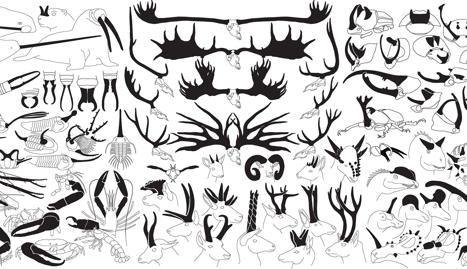 Montaje de dibujos lineales de diversas armas animales