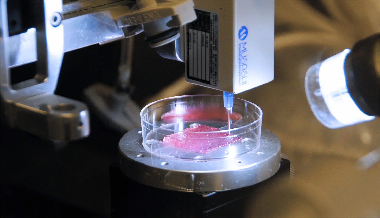 The head of a 3D printer squirts liquid into a Petri dish containing pink tissue.