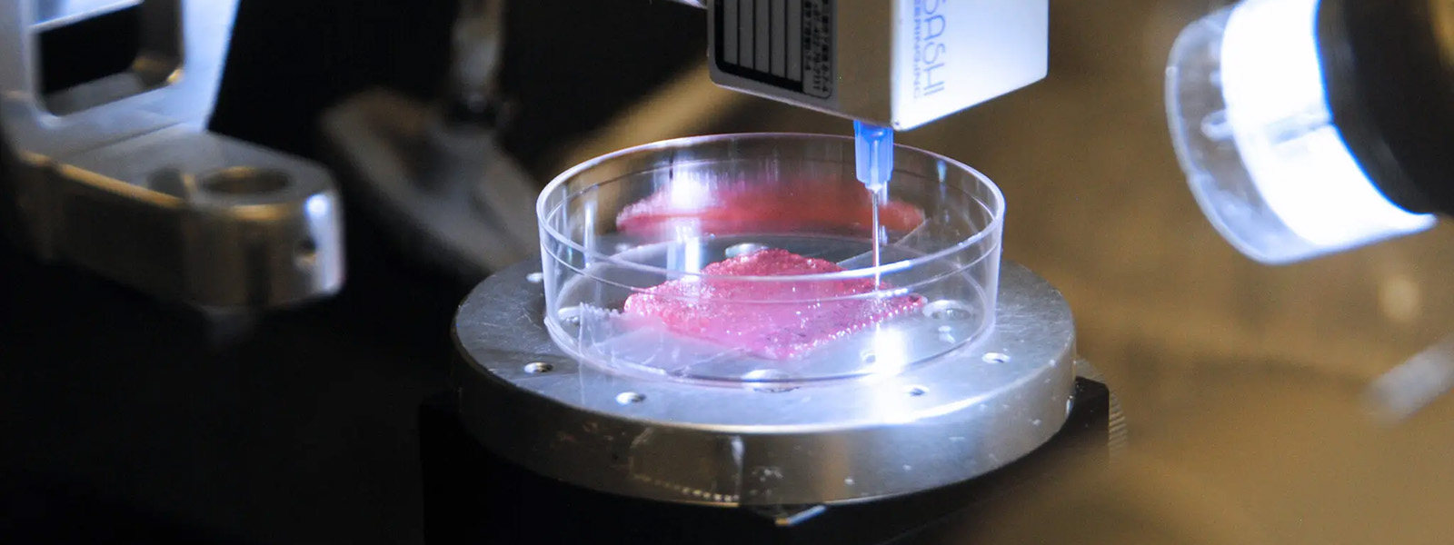 Una impresora 3D inyecta líquido en una placa de Petri con tejido rosado.