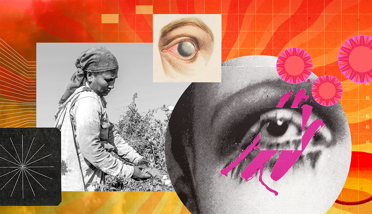 Collage que muestra un primer plano de un ojo, un trabajador agrícola al Sol, olas de calor creciente, cataratas y un par de gafas de sol.