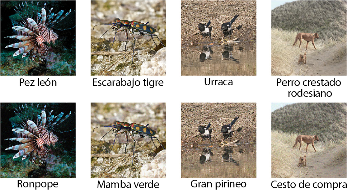 Imágenes adversarias Cuatro imágenes que confundieron a un programa de visión artificial.