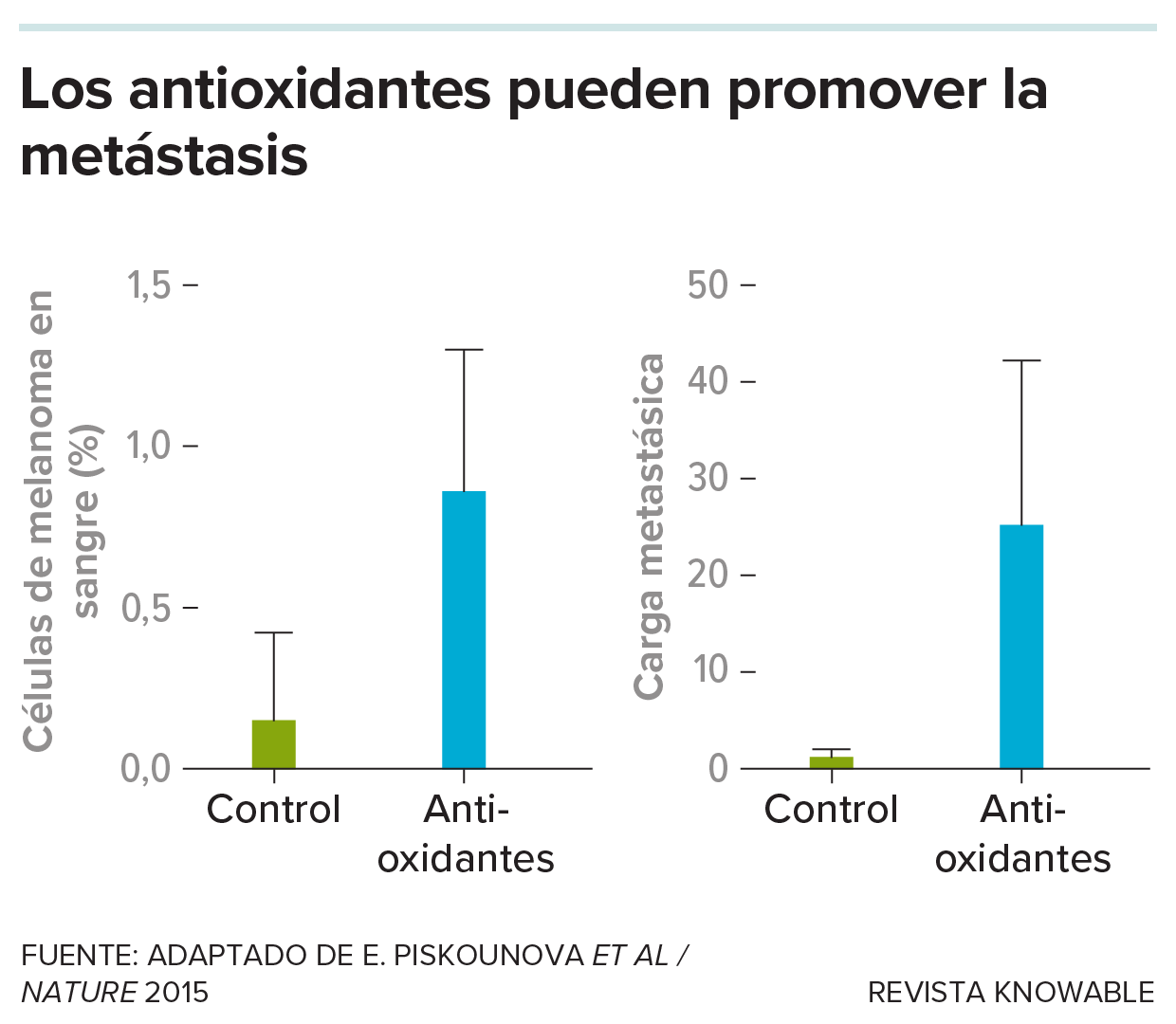 Los antioxidantes pueden favorecer la metástasis Dos gráficos de barras muestran que los ratones tratados con antioxidantes tienen niveles mucho más altos de células metastásicas en la sangre y de carga metastásica que los ratones no tratados.