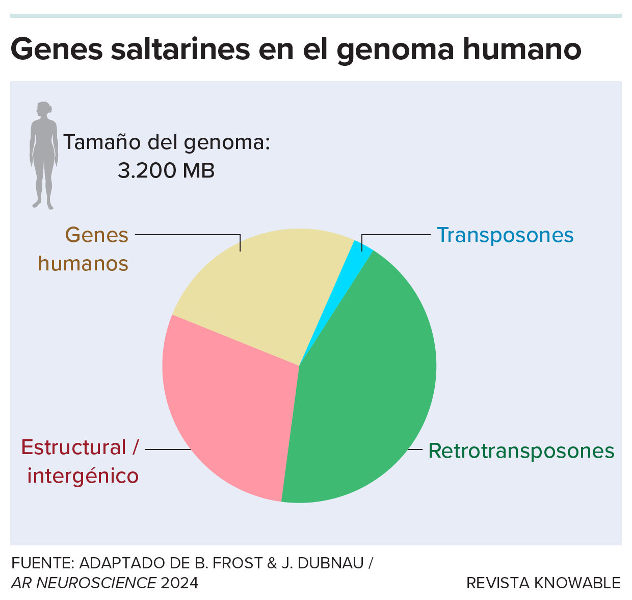 Genes saltadores en el genoma humano El gráfico circular muestra que los retrotransposones constituyen casi la mitad del genoma humano.