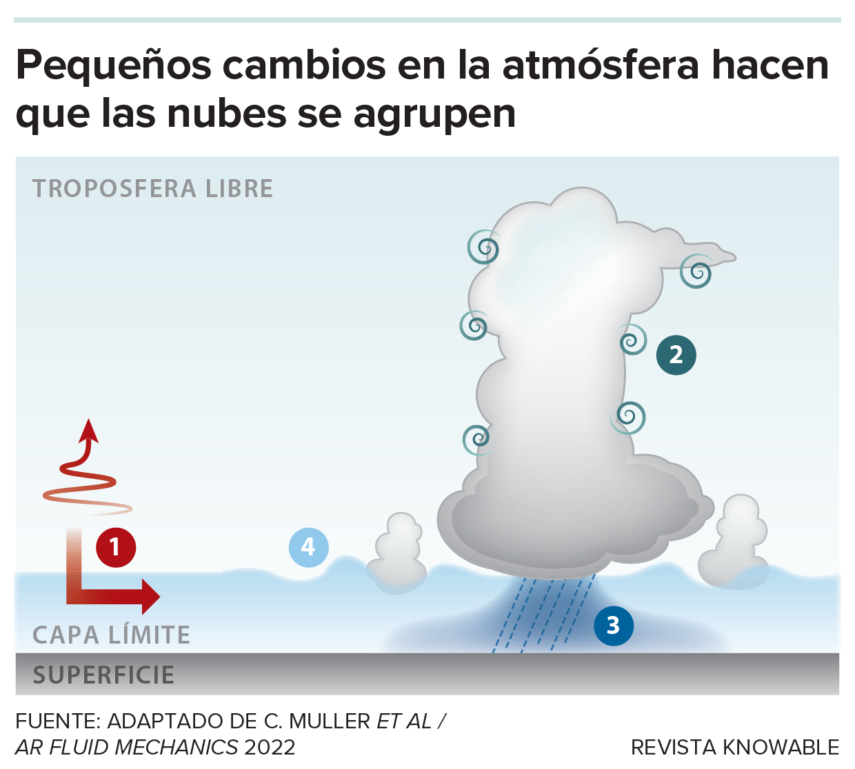 Un gráfico muestra varias formas en las que las nubes se agrupan.