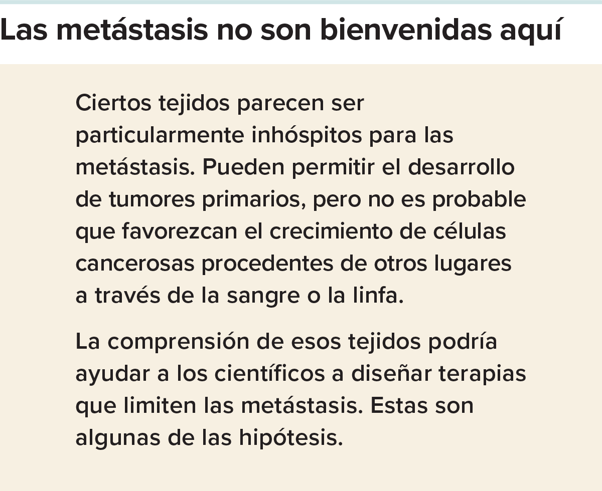 Una presentación de diapositivas explora los tejidos que parecen ser resistentes a la metástasis y las posibles razones.