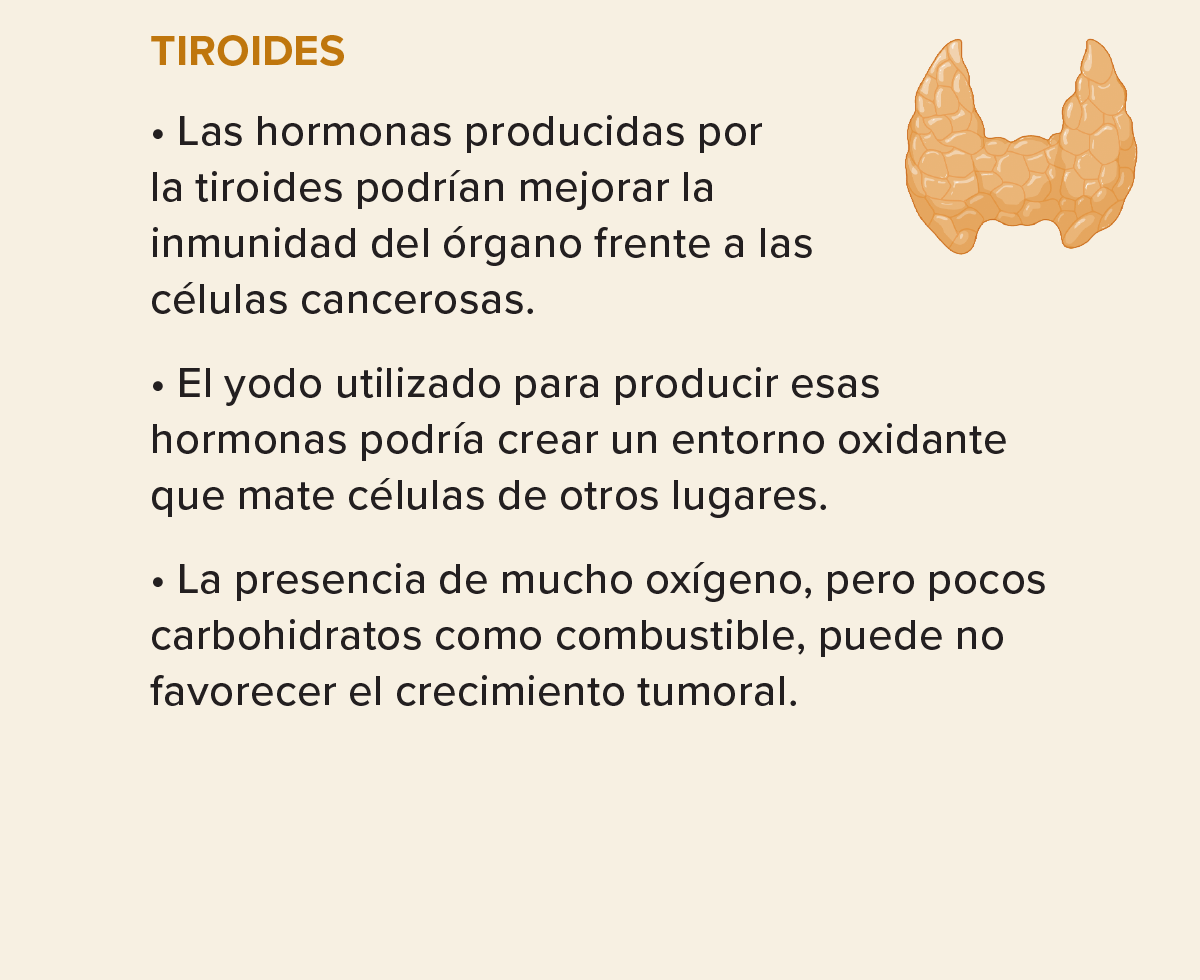 La diapositiva muestra las posibles razones por las que la metástasis es rara en la tiroides.