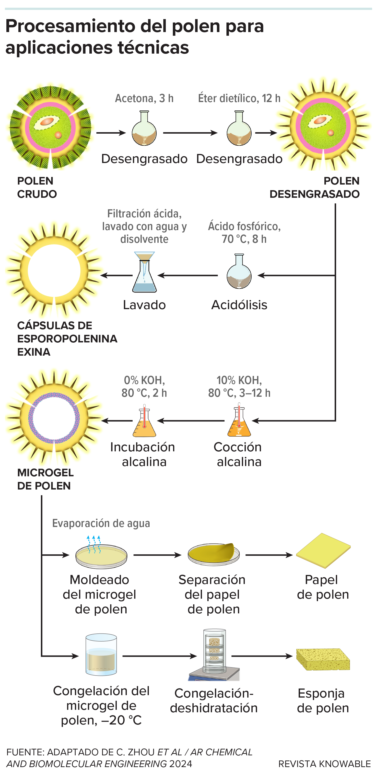 Tratamiento químico del polen Un diagrama de flujo muestra los pasos necesarios para transformar el polen en un microgel blando o cápsulas huecas.