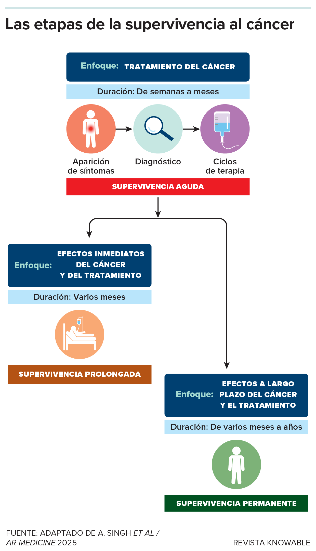 Gráfico que muestra las etapas de la supervivencia al cáncer.
