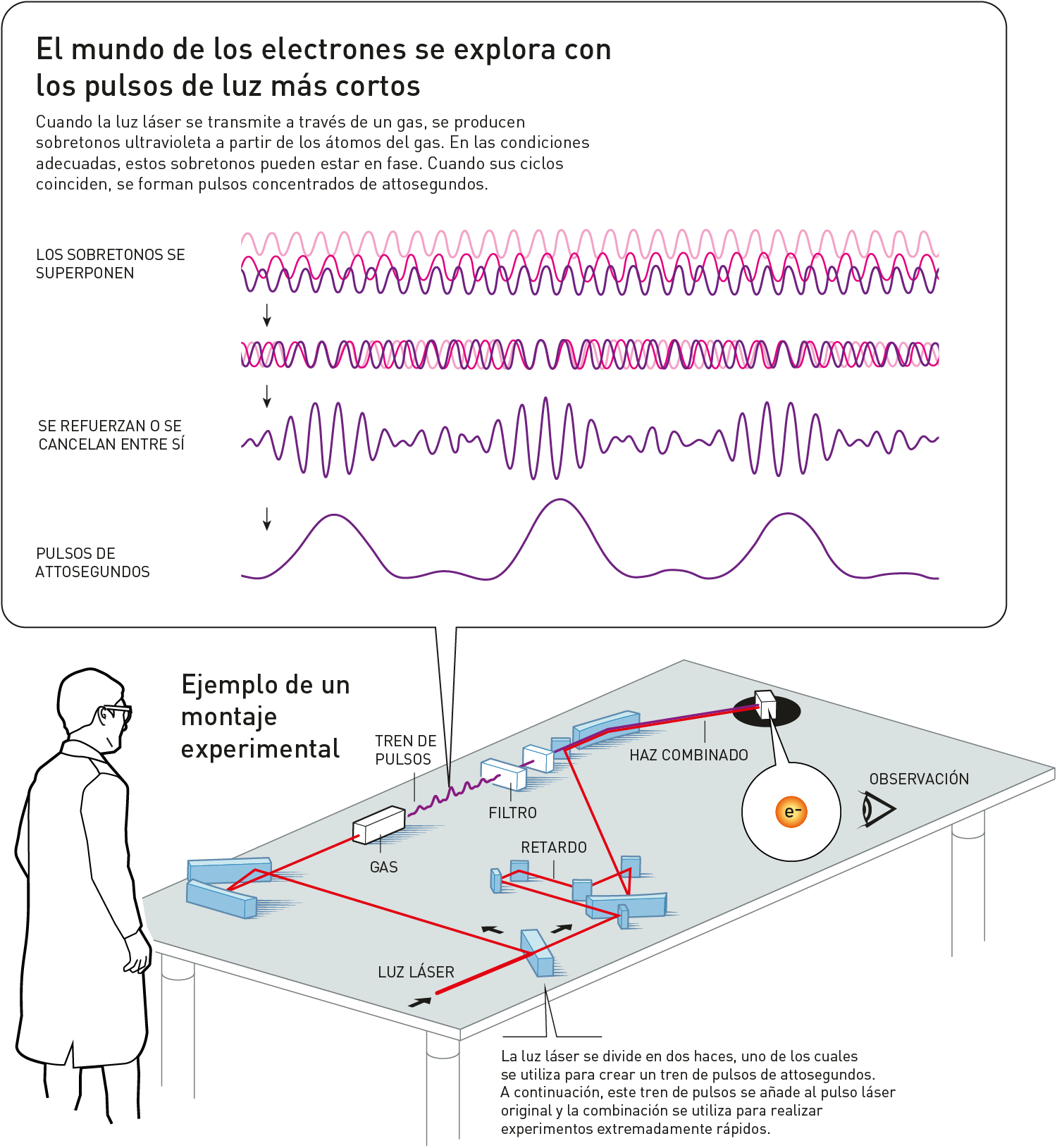 Midiendo attosegundos Gráfico que describe el aparato que permite medir los attosegundos.
