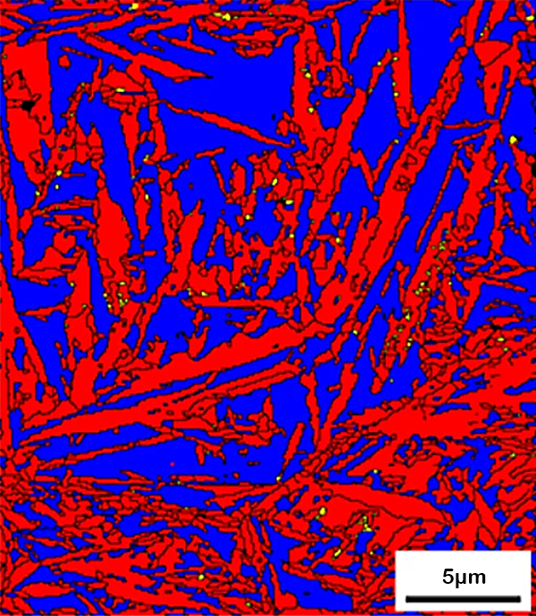 Micrografía que muestra un complejo patrón de regiones azules y rojas.