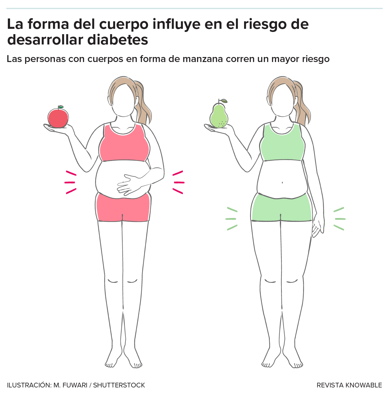 La ilustración muestra a dos mujeres, una con grasa abdominal y la otra con grasa subcutánea.