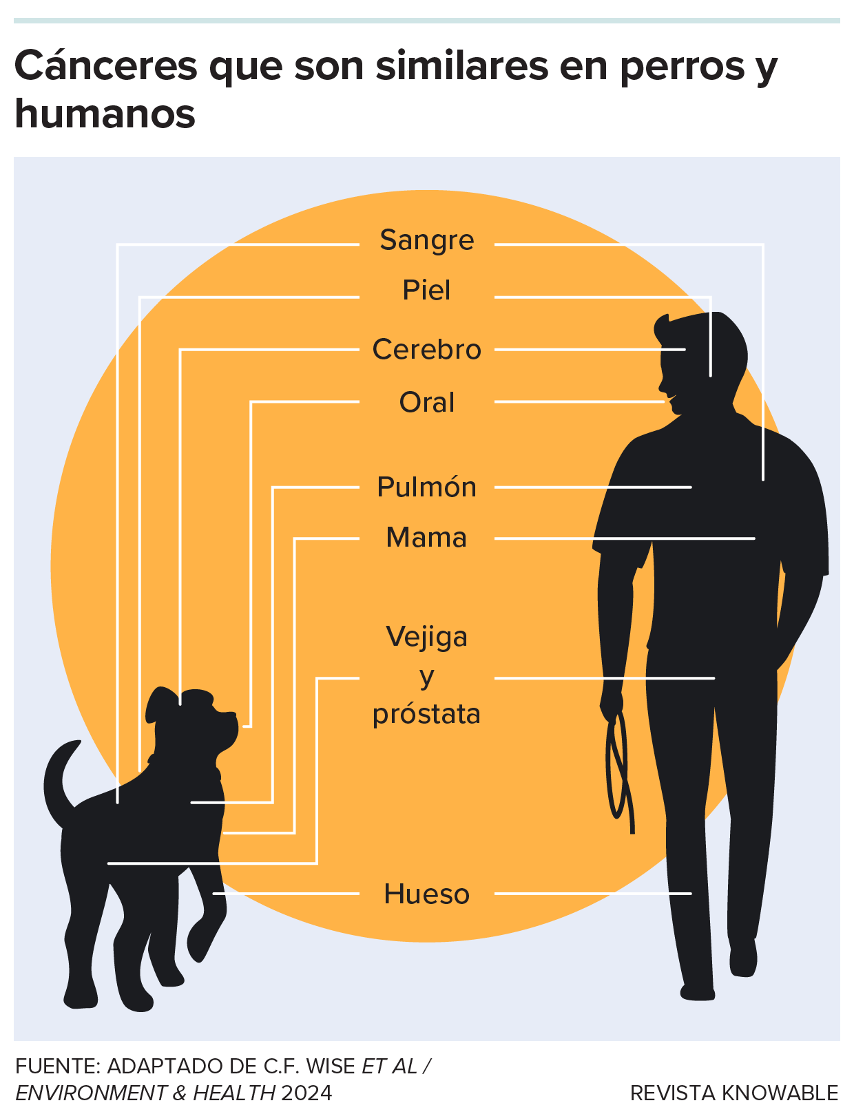 Cánceres compartidos Siluetas de un perro y una persona con etiquetas que muestran tipos de cáncer que son similares.