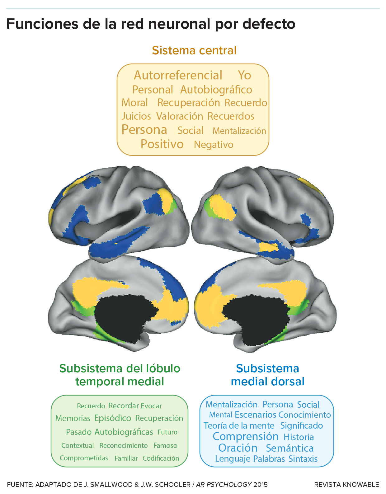 Ilustración del cerebro desde diferentes ángulos con algunas partes coloreadas en amarillo, verde o azul. También se muestran términos utilizados en artículos que mencionan elementos de la red neuronal por defecto.