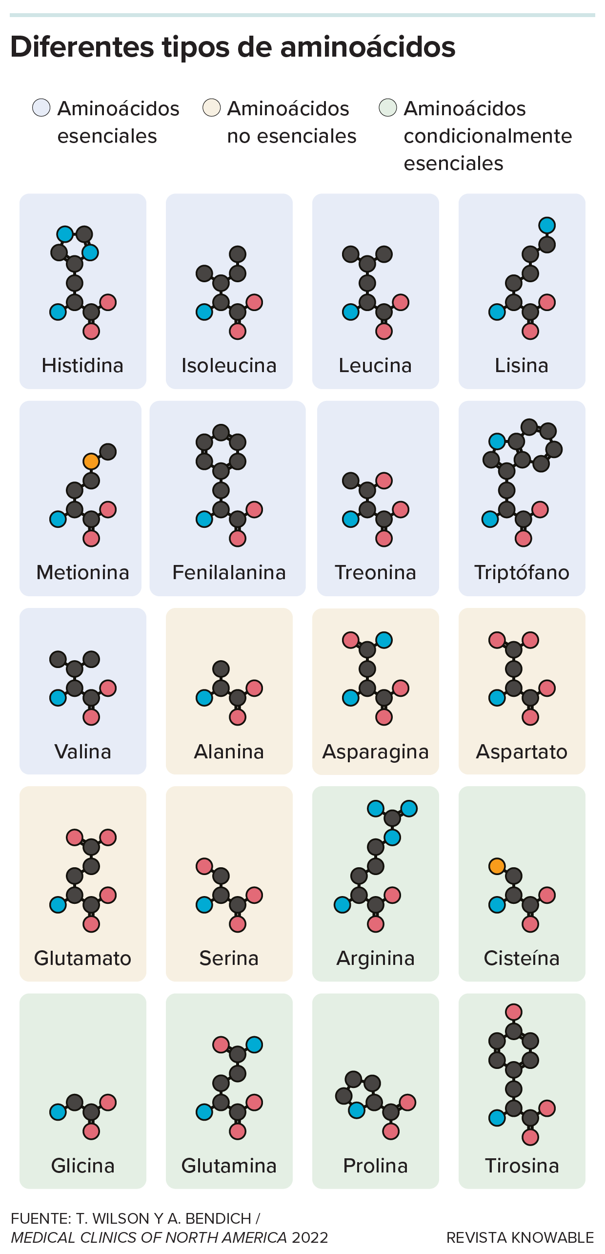 Llega una nueva colección a 𝑱𝒂𝒓𝒅𝒊́𝒏 𝒅𝒆 𝑮𝒆𝒏𝒊𝒐𝒔! 🥳 💛 📖 Toto  y Oli te invitan a descubrir y aprender sobre el 𝐑𝐞𝐢𝐧𝐨 𝐀𝐧𝐢𝐦𝐚𝐥 en  6 entregas ¡a puro color! 🤩 📚, image size:1240x2568