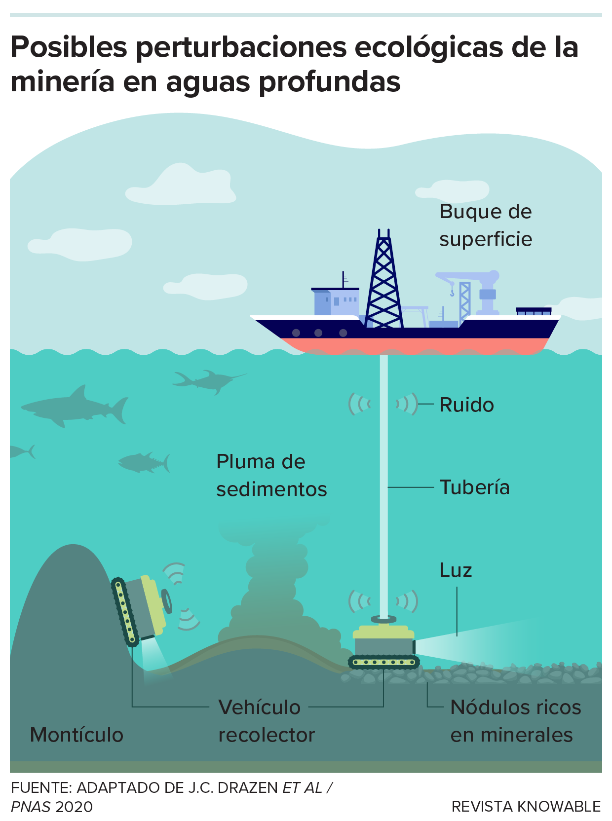 Un gráfico muestra la configuración básica de la minería en aguas profundas y destaca algunas de las perturbaciones medioambientales que preocupan a los investigadores.