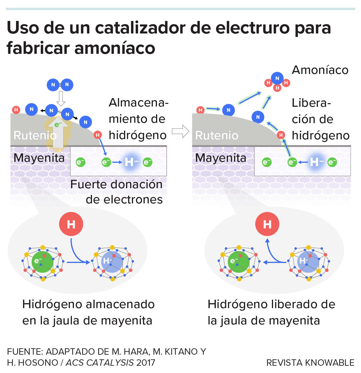 Catalizador de mayenita Un gráfico muestra cómo se rompen los enlaces atómicos del nitrógeno utilizando un catalizador de mayenita que dona electrones. A continuación, los átomos se desplazan al rutenio, donde se combinan con hidrógeno (almacenado y luego donado por la mayenita) para formar amoníaco.
