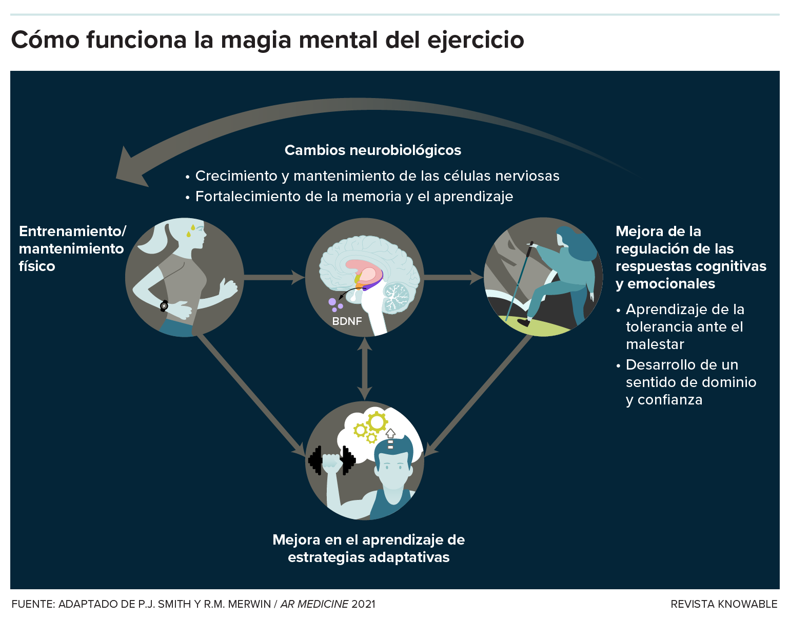 Los múltiples beneficios del ejercicio Gráfico que muestra cómo el ejercicio actúa a través del cerebro y el comportamiento para mejorar los resultados de salud mental.