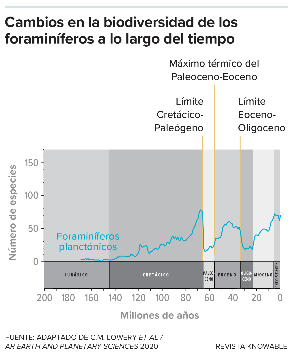 Cambios en la biodiversidad de los foraminíferos Un gráfico muestra el aumento y la disminución de la diversidad de foraminíferos a lo largo del tiempo, en varios periodos geológicos con cambios climáticos drásticos.