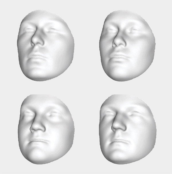 Imágenes por computadora de cuatro caras con diferentes rasgos