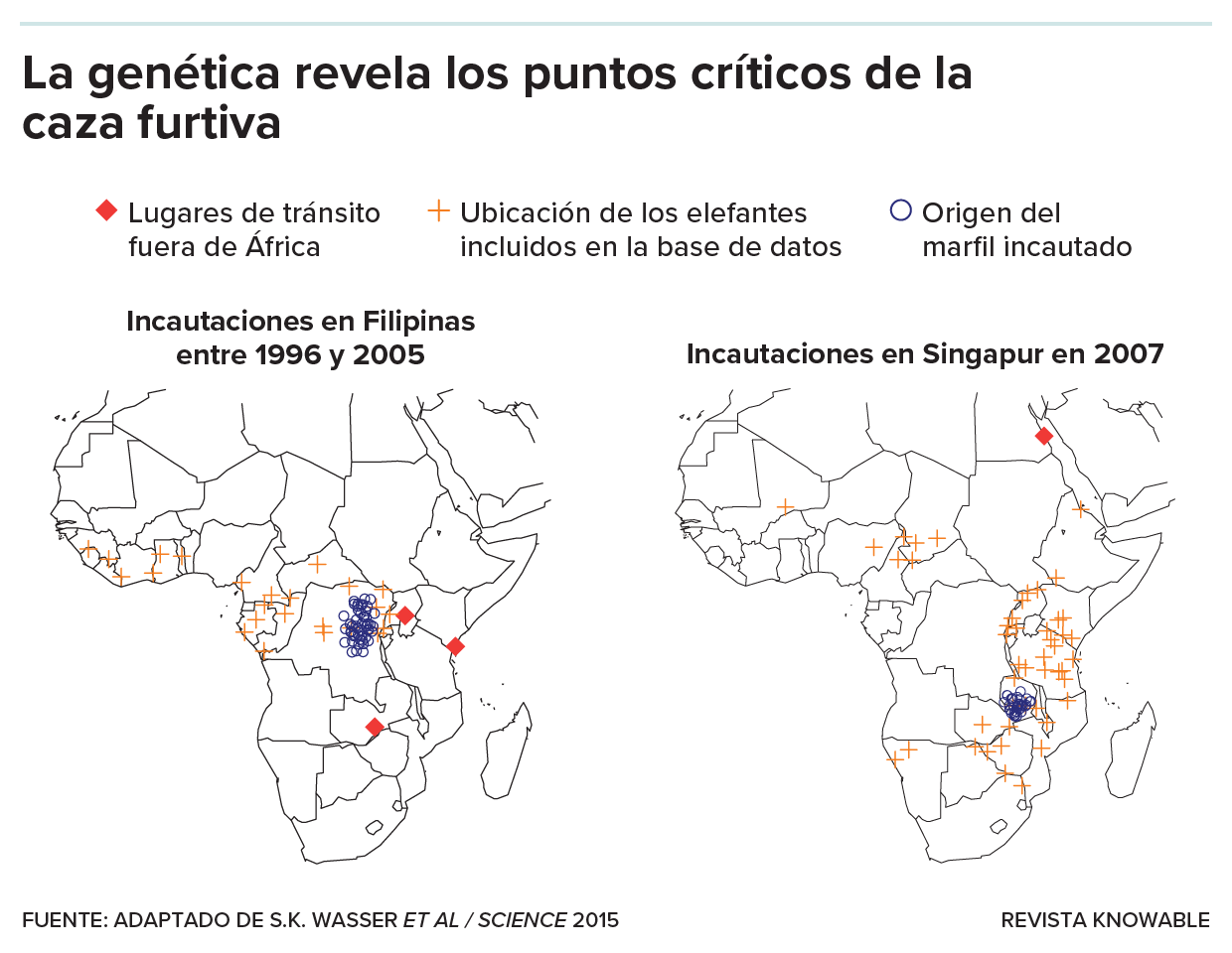 Dos mapas de África. El mapa de la izquierda muestra el origen del marfil incautado en Filipinas entre 1996 y 2005; el de la derecha ilustra el origen del marfil incautado en Singapur en 2007. Los rombos rojos marcan los puertos por los que salió el marfil de África. Las cruces marcan la ubicación de los elefantes en una base de datos genética. Los círculos azules marcan el origen del marfil incautado, según esa base de datos.