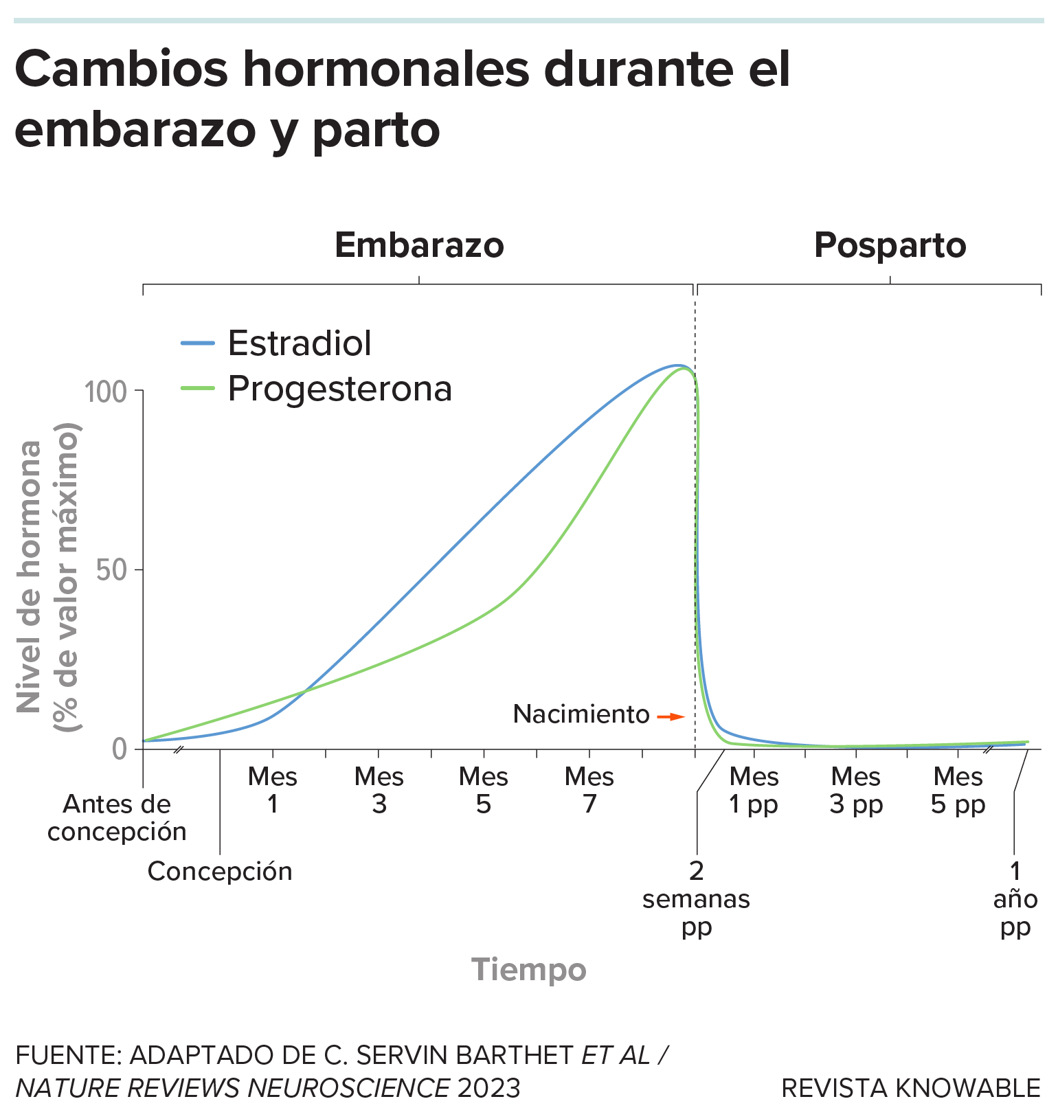 Estradiol y progesterone Gráfico que muestra un aumento constante de los niveles de estradiol y progesterona después de la concepción y, a continuación, una caída muy pronunciada justo después del parto.