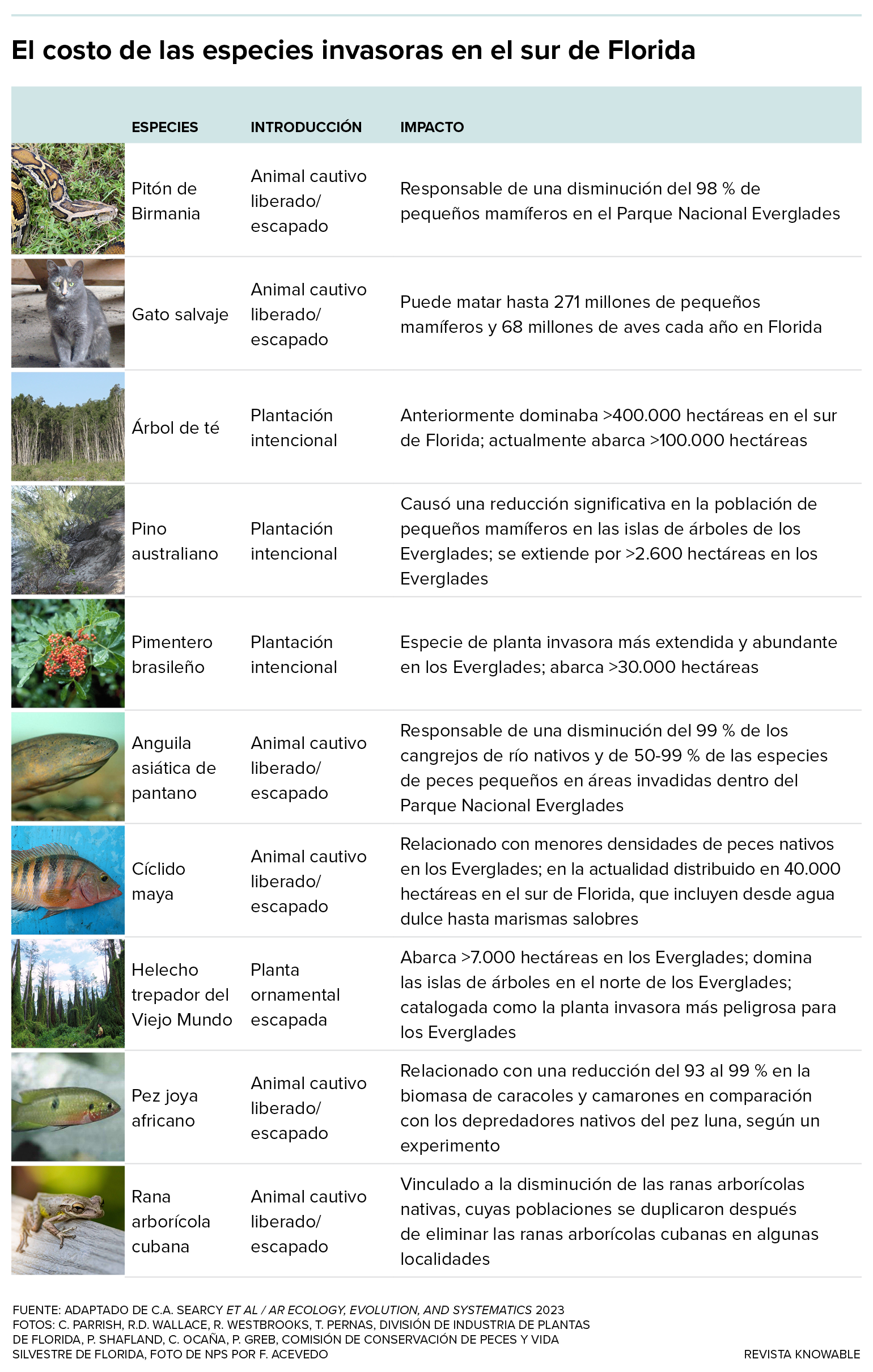 Una tabla resume algunas de las plantas y animales más problemáticos que ahora viven libremente en el sur de Florida, y además detalla cómo fueron introducidas y cuánta tierra se ve afectada.