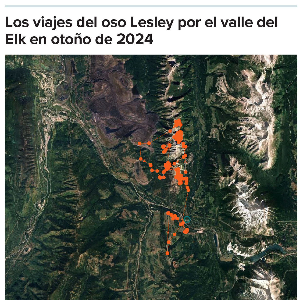 Mapa del valle de Elk, en la Columbia Británica, con puntos rojos que muestran las ubicaciones GPS de un oso a lo largo del tiempo, en gran parte a lo largo de las crestas montañosas.