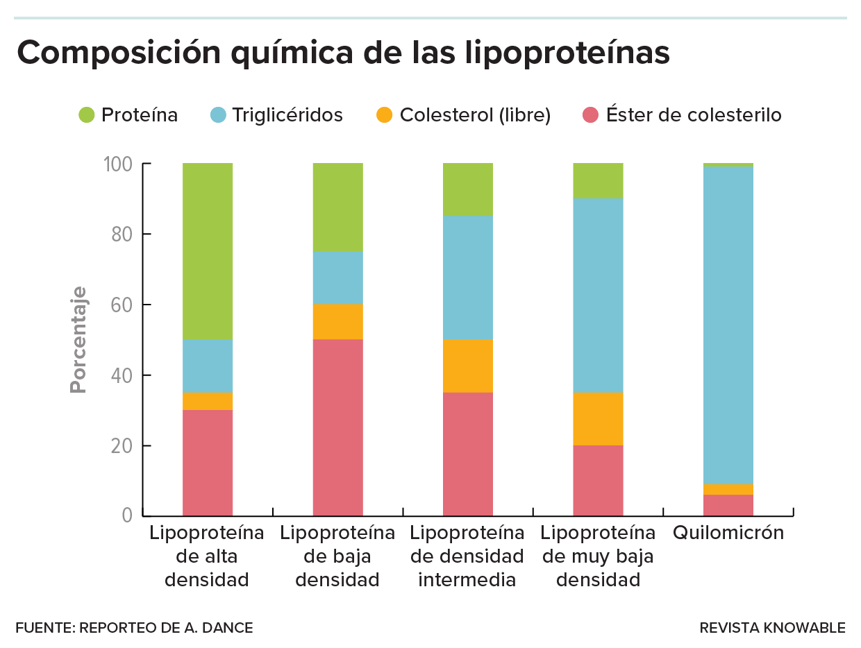 Gráfico de barras que muestra la composición de las lipoproteínas: las HDL contienen principalmente proteínas, las LDL y los quilomicrones contienen sobre todo grasas (triglicéridos) y las partículas IDL contienen mucho colesterol y ésteres de colesterilo.