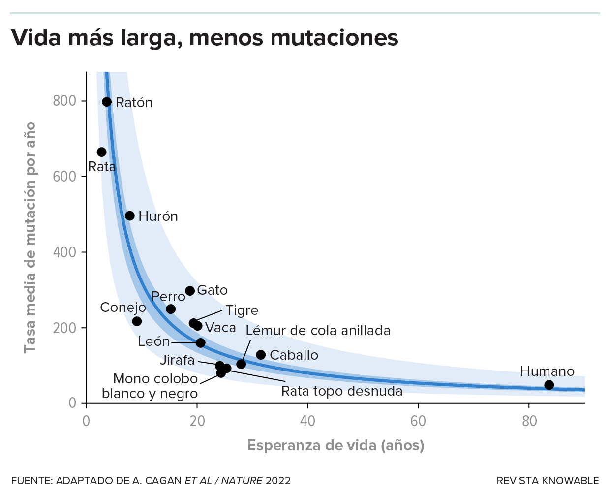 Un gráfico muestra que cuanto más vive una especie, menos mutaciones acumula por año.