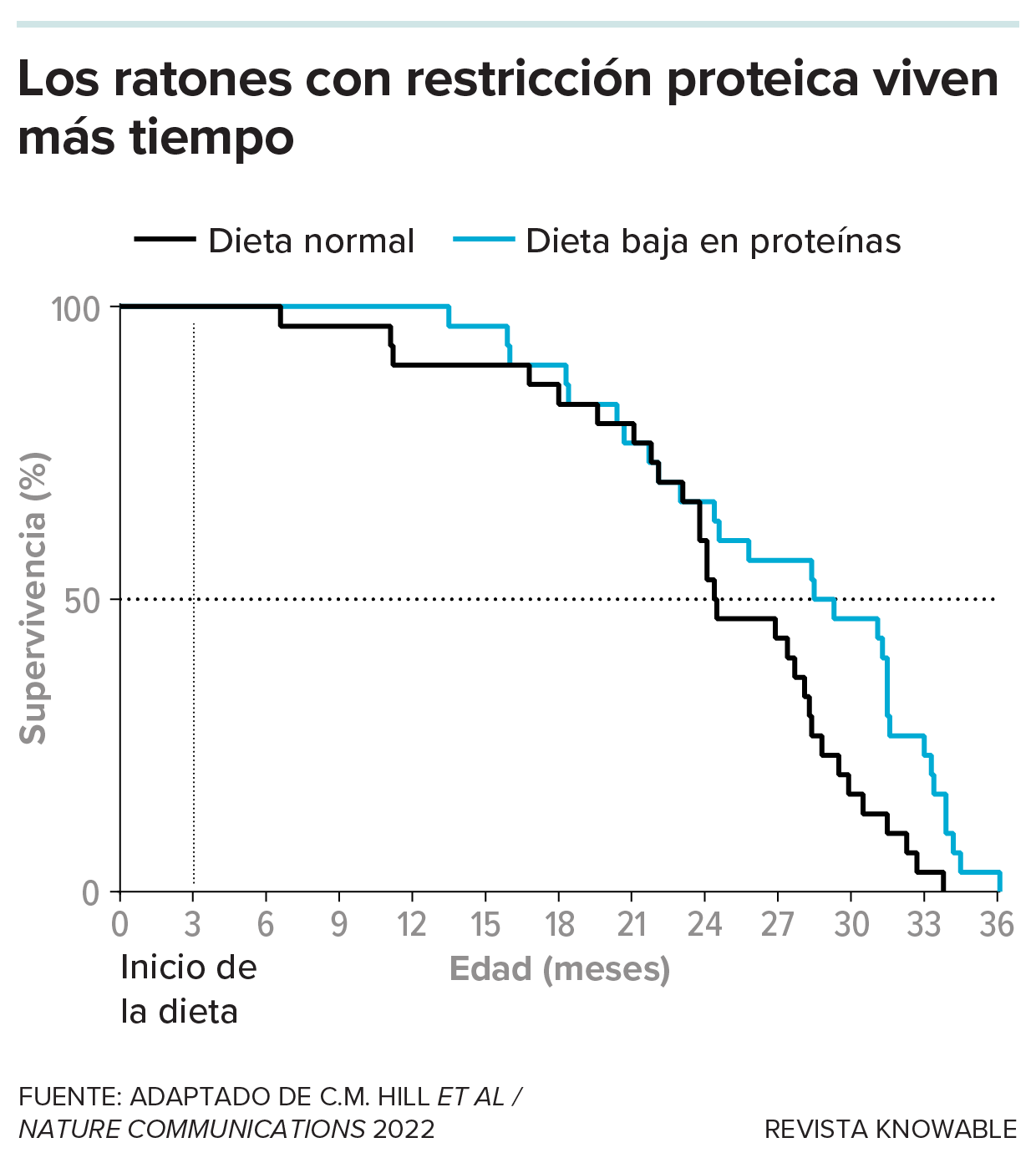 Los ratones con restricción proteica viven más tiempo Un gráfico lineal de la supervivencia de los ratones muestra que los roedores con una dieta baja en proteínas viven unos meses más que los que siguen una dieta normal.