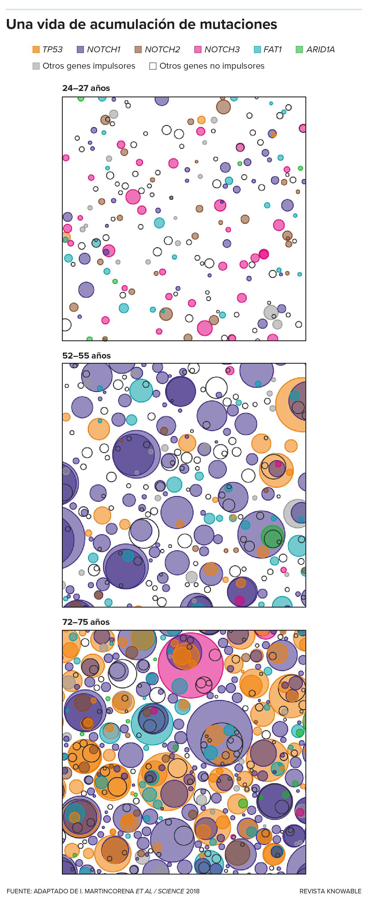 res paneles presentan círculos multicolores y superpuestos de distintos tamaños