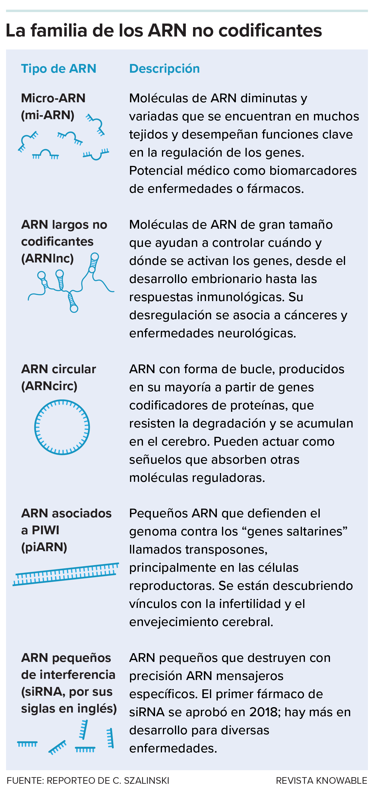 Una tabla describe los aspectos clave de cinco tipos de ARN no codificante.