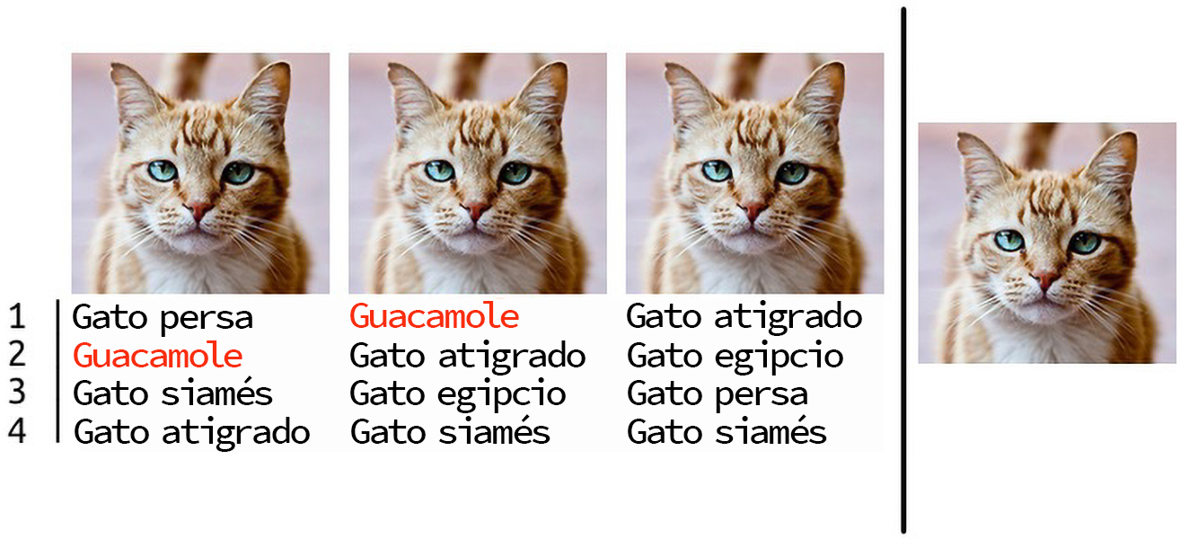 El gato guacamole Cuatro imágenes de un gato, algunas de las cuales están etiquetadas incorrectamente por una computadora.